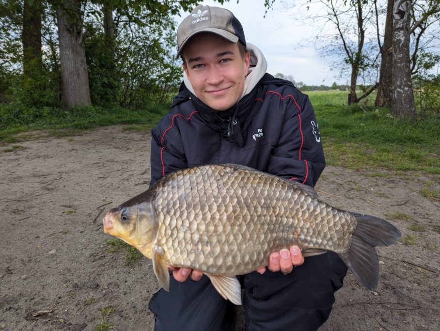 Patrick mit 48cm Giebel